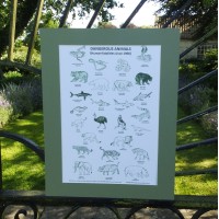 Dangerous Animals Print